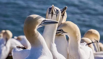 开云·体育官网APP下载-巴黎圣日耳曼战胜里昂在法甲排名继续领先，巴黎圣日耳曼对阵里昂