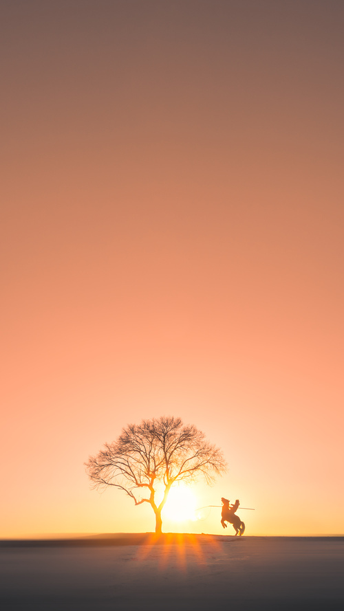 开云官方网站-_运动员心声：比赛中的高压与自我调节_，运动员高压低压多少正常