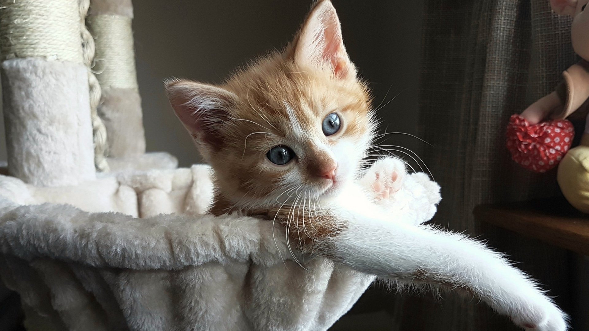 _运动员福利提升:专属训练场地与设备_,运动员训练的地方