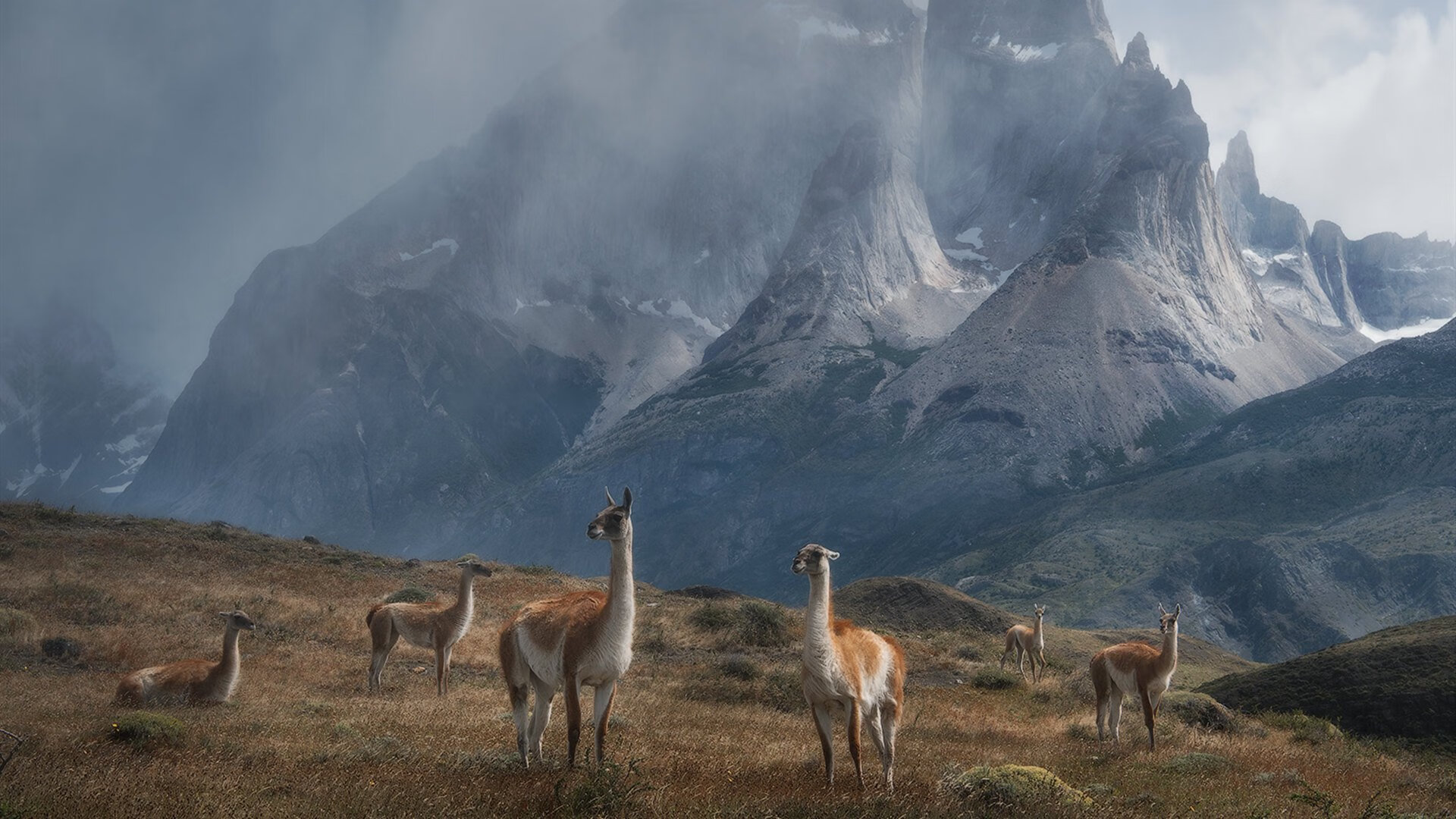 kaiyun官方入口登录-世界风筝节体育竞技，空中飞翔的艺术之美，世界风筝比赛