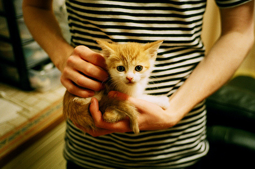 投资巨头聚焦中国篮球新兴产业,开启资本新篇章,中国篮球产业白皮书