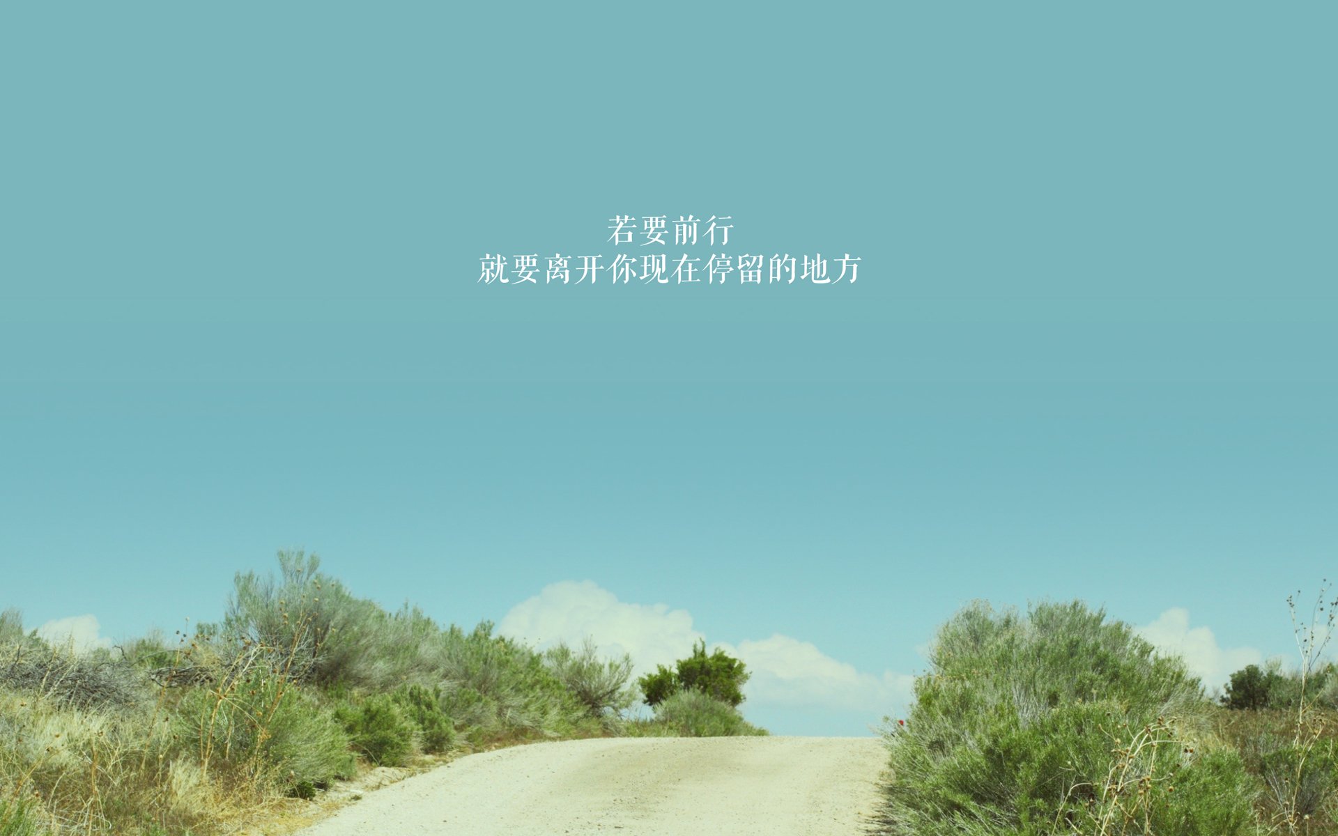 欧冠夺冠热门球队转会窗口最新消息，欧冠夺冠热门球队排名