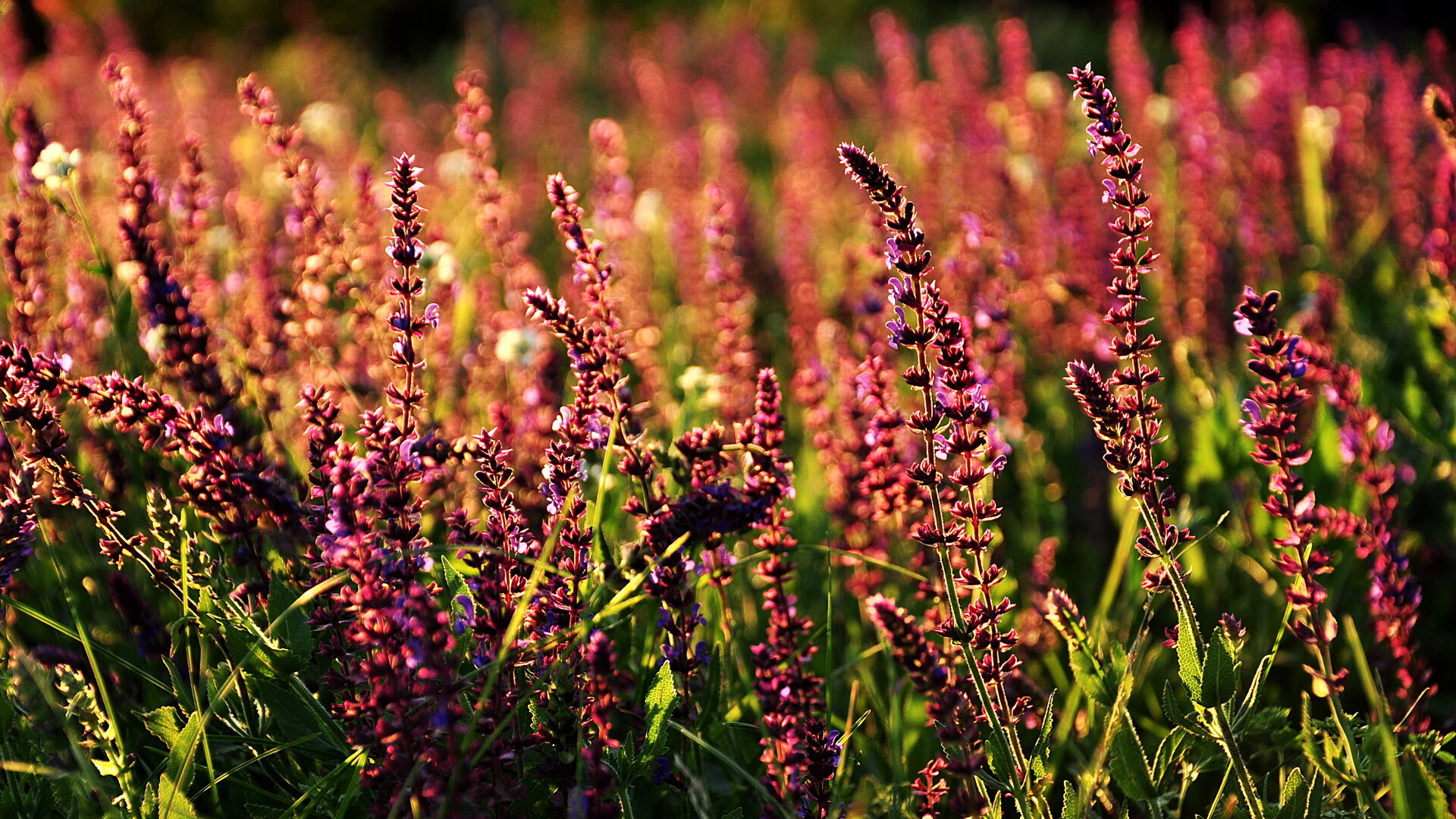 kaiyun.com-由国内顶尖科研院所主导的青训技术创新项目正式启动，建立国内顶级青训体系