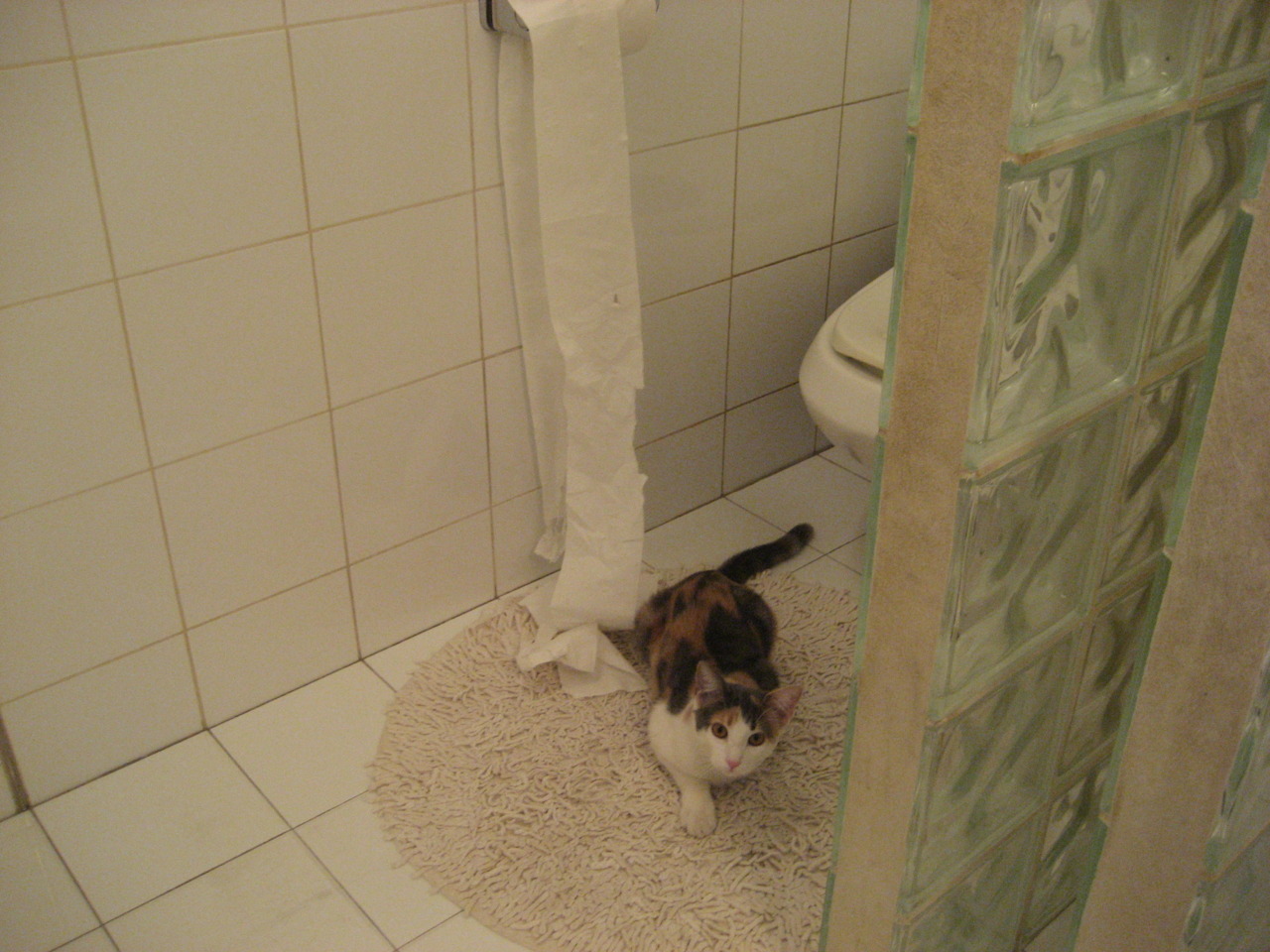 kaiyun体育综合-青训大变革：潜力无限的未来巨星孵化基地，青训lya