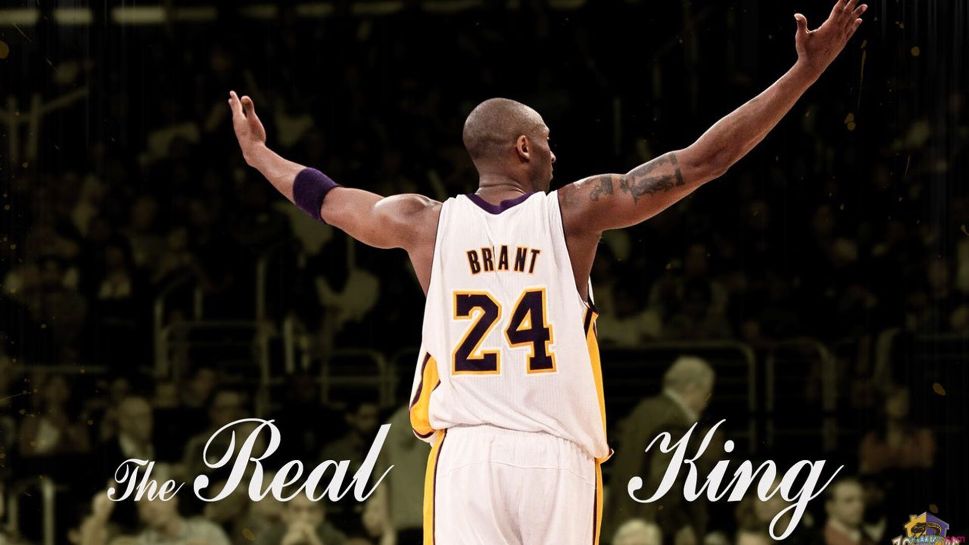 开云官网APP下载-外援组合额外发挥，成为球队攻守核心，比赛外援