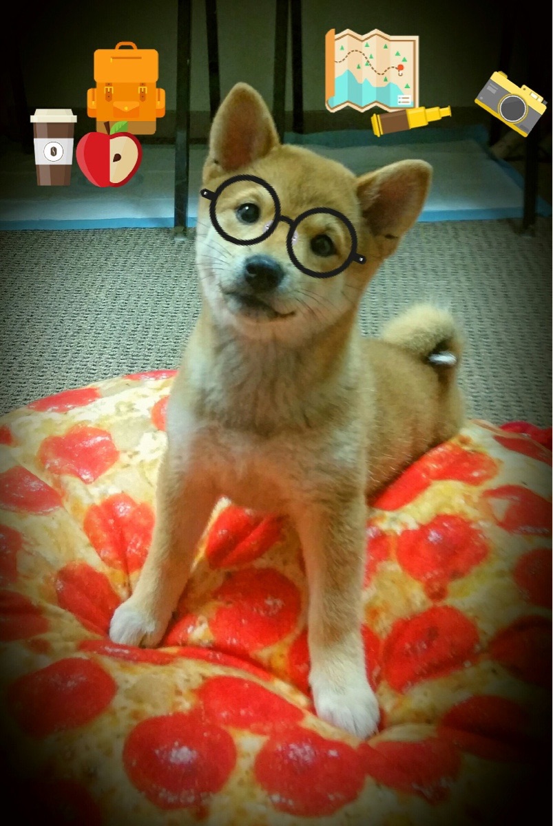 实力碾压对手,国家队豪取连胜,进军胜利之路,国家队夺冠