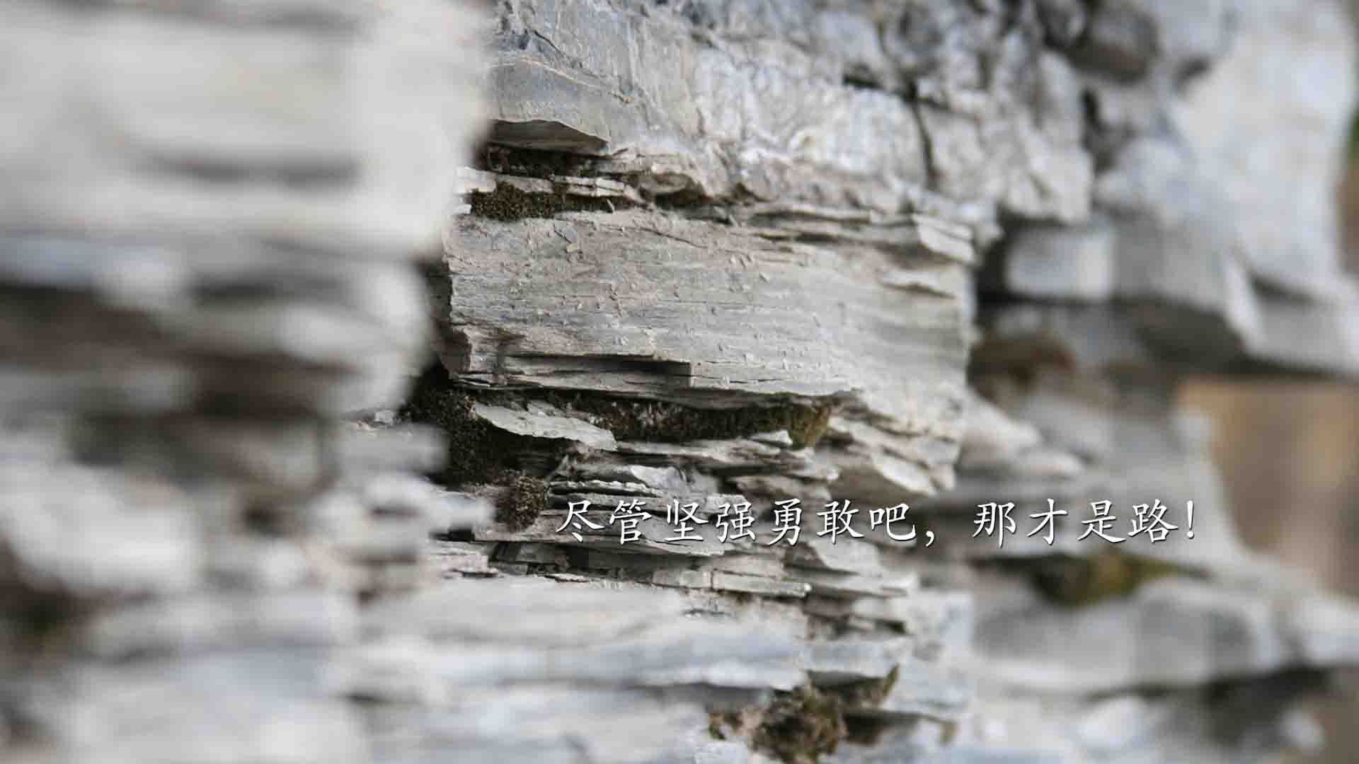 拜仁慕尼黑球员集体受伤，球队前景蒙上阴影，拜仁慕尼黑 球星