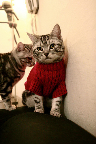 湖人后卫因伤缺阵,球队战力下降,湖人 得分后卫