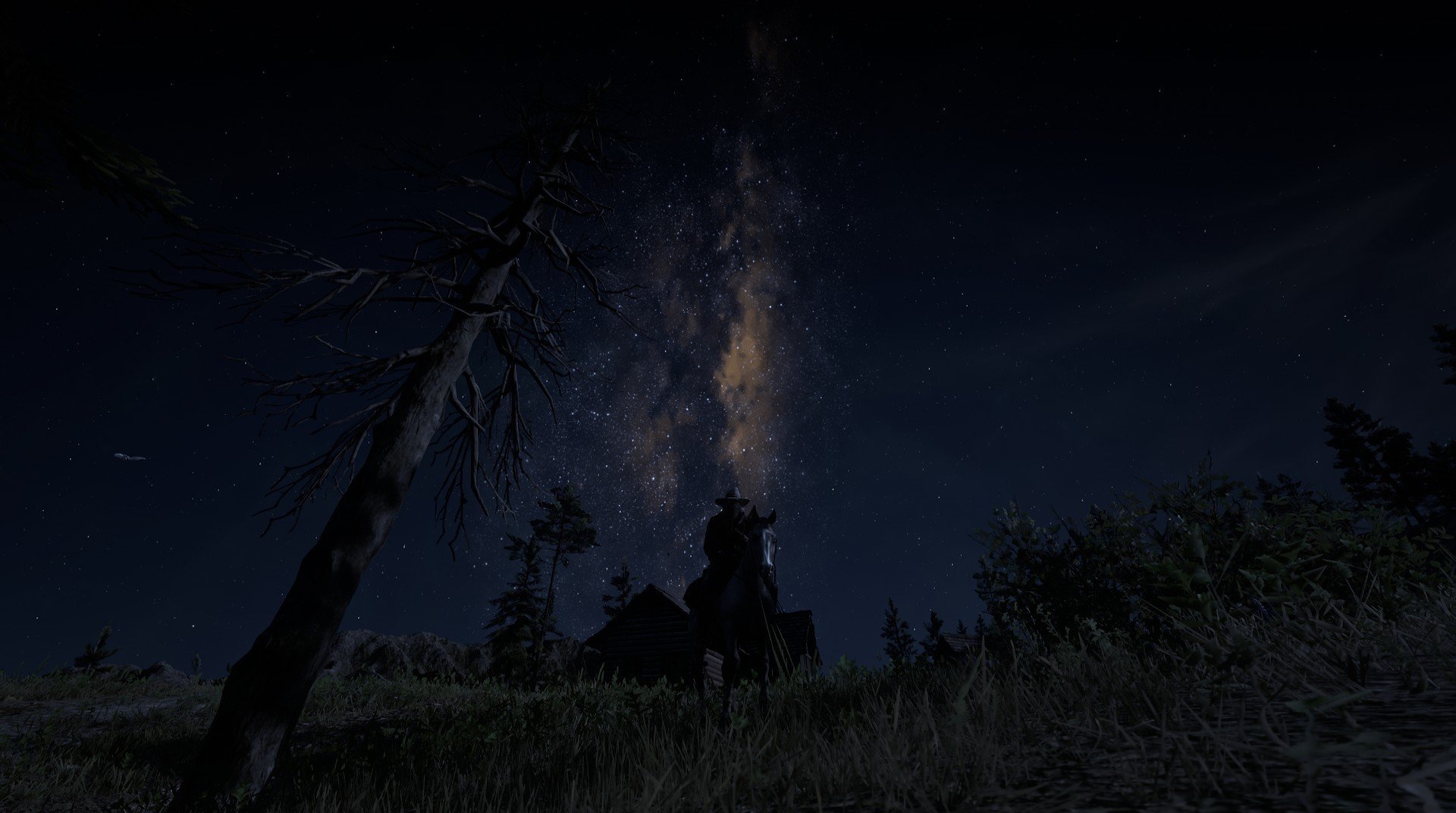 体育纪录片拍摄视角聚焦家庭支持力量，体育纪录片主题