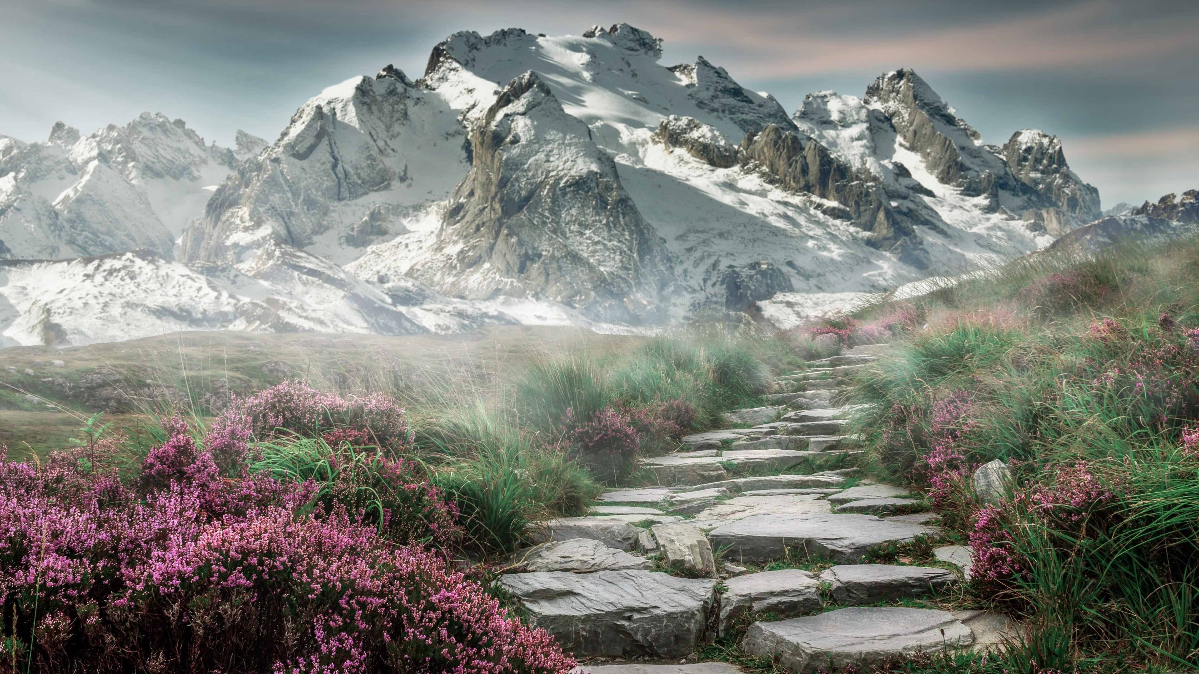 山西龙狮在新赛季实现阵容年轻化调整，山西龙晋试训球员名单