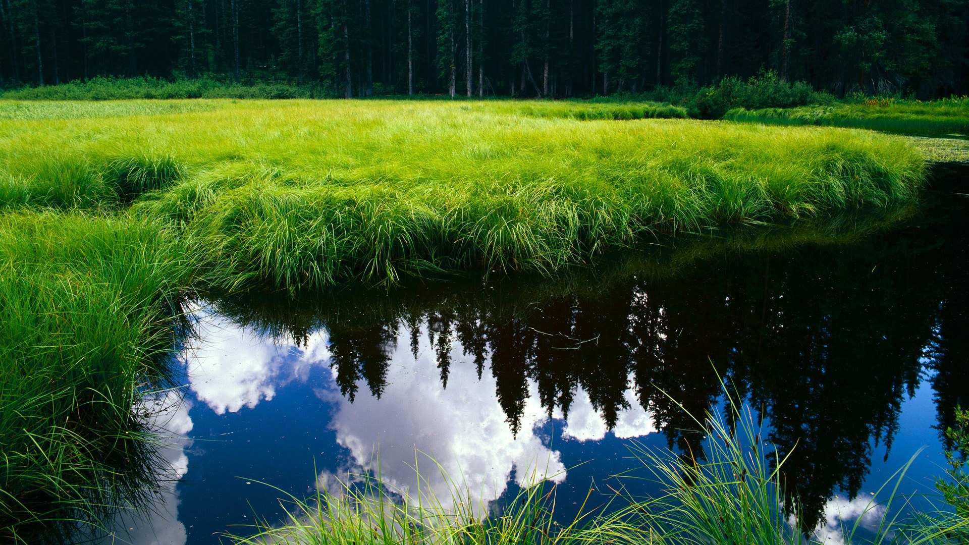 波兰队未来战略：如何通过战术创新突破世界强队，波兰队战绩