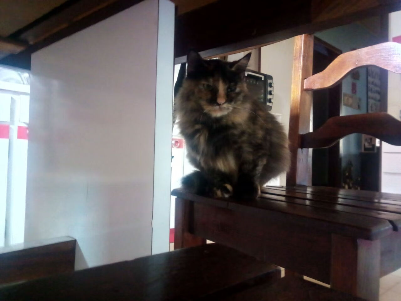 CBA球队加强后勤保障体系优化训练和比赛准备工作,cba后勤工作招聘