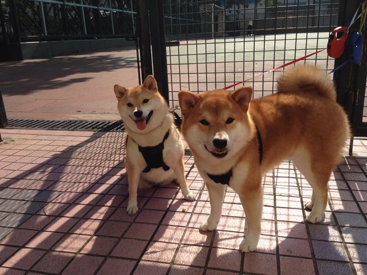 开云kaiyun-凯琳·科贝特用速度与耐力完美结合，凯特琳贝内迪克特