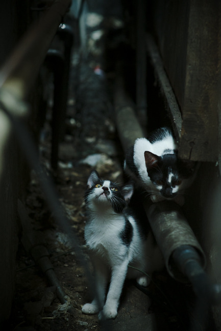 kaiyun体育app-球队季中技术分析报告公开，战术亮点被专业媒体剖析，季后赛技术统计